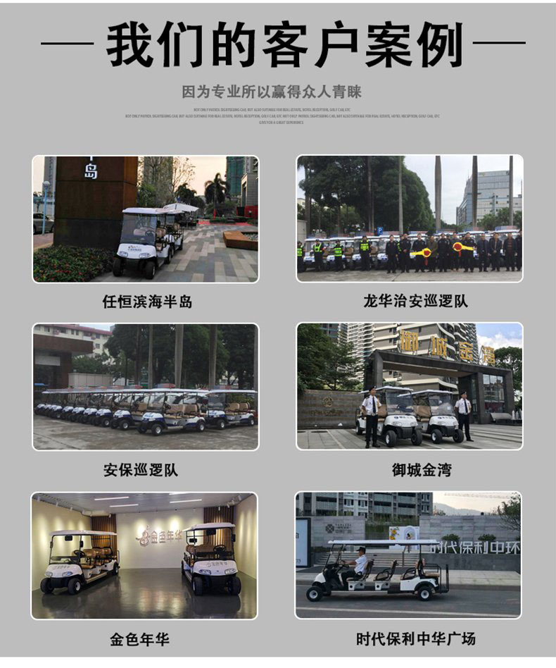 G4+2 電動(dòng)高爾夫觀光車看房車景區(qū)樓盤物業(yè)度假村(圖9)